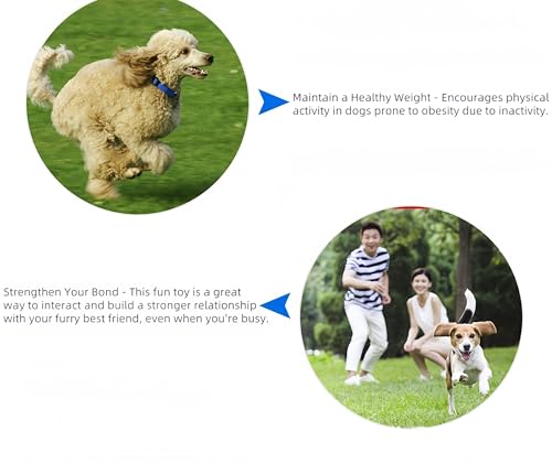 Heavy Duty Rope Toys for Dogs – 5-Pack Indestructible Cotton Dog Toys for Aggressive Chewers, Large & Medium Breed Puppy Dental Rope Tug Toys
