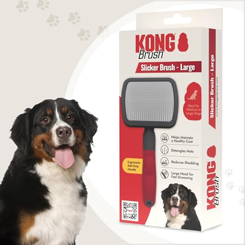 KONG Large Slicker Brush – Removes Loose Hair, Reduces Shedding, Comfortable Non-Slip Grip, Long Metal Pins, for Medium to Large Dogs with Medium to Long Coats, Red/Gray - size: Large Slicker