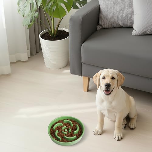 Slow Feeder Dog Bowl, Ceramic 2 Cups Dog Food Bowls for Small, Medium, and Large Breed, Anti-Slip Maze Puzzle Food Dish to Slow Down Eating (Green, 2 Cups) - color: Flower - Green