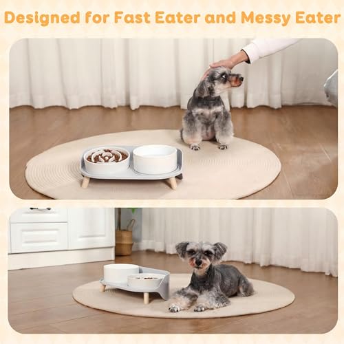 Elevated Slow Feeder Dog Bowls - Ceramic Food and Water Bowl Set with Stand - Raised Pet Dishes for Small and Medium Sized Dogs - color: White