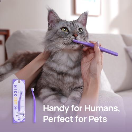 HICC PET Toothbrush for Cats & Small Dogs,Ergonomic Pet Toothbrush for Easy Teeth Cleaning,Gentle on Gums, Cat & Dog Dental Care – Toothpaste Not Included - color: Purple for Cats & Small Dogs