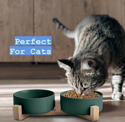 Ceramic Cat and Small Dog Bowl Set – Modern Indoor Small Size Pet Food and Water Bowls with Wood Stand – Non Slip Puppy Sized Feeding Station with Double Dishes (Green) - color: Green