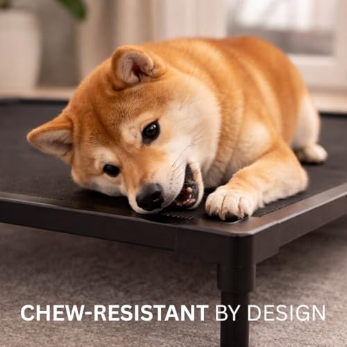 Elevated Dog Bed, Dog Cot for Medium Dogs, Aluminum Frame with Chew-Resistant PVC Fabric, Supports Up to 150 lbs, Indoor and Outdoor Use, Hardware Included, 42" x 30" x 7" - size: Medium