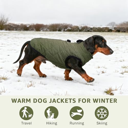 SCENEREAL Dachshund Winter Dog Vest Coat with Harness Built in, Warm Puppy Jacket for Small Medium Dogs, Cold Weather Coat with Zipper, Fleece Puffer Vest Windproof Snow Clothes - color: #1 Olive-Matte, size: S(Chest 14.1")-Dachshund