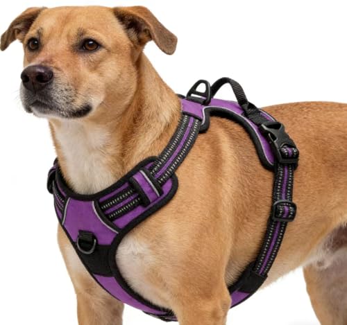 Purple No-Pull Dog Harness with 2 Leash Clips,Soft Padded Vest for Small Dog, Adjustable Reflective Dog Vest Easy to Put on and Take Off,(Neck: 13"~17", Chest: 17"~21",Purple Small) - color: Purple, size: Small