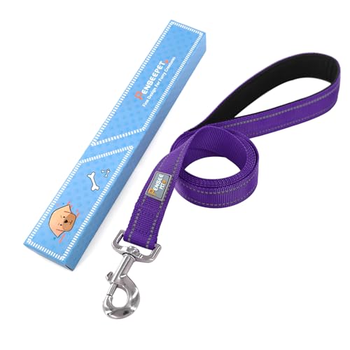 Dog Leash 6 FT Padded Handle Nylon Reflective Dogs Leashes for Small Dogs Puppy Leashes Purple - color: Refl Purple, size: Small : 5/8" x 6 FT