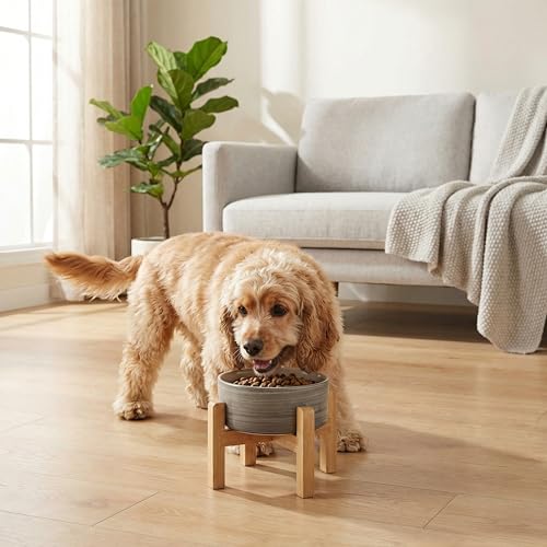 hjn Elevated Ceramic Dog Bowl with Bamboo Stand, Raised Pet Feeding Station for Small Medium Dogs Cats, Modern Design with Anti-Slip Base (White Gray, 3.6Cup) - color: White Gray, size: 3.6Cup