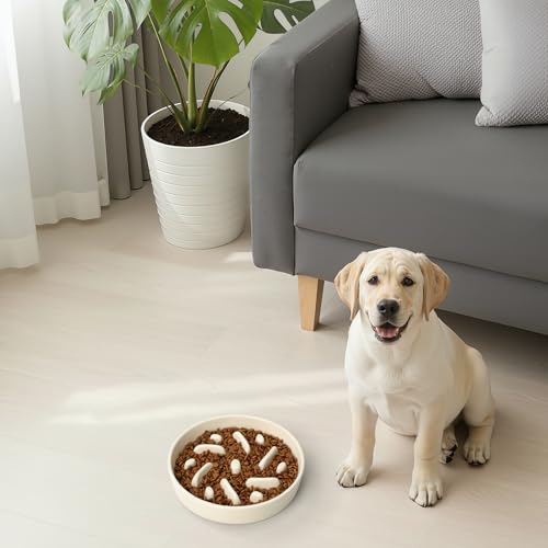 Ceramic Slow Feeder Dog Bowl, 2 Cups Dog Food Bowls for Small, Medium, and Large Breed, Anti-Slip Puzzle Food Dish to Slow Down Eating (White, 2 Cups) - color: Maze - White