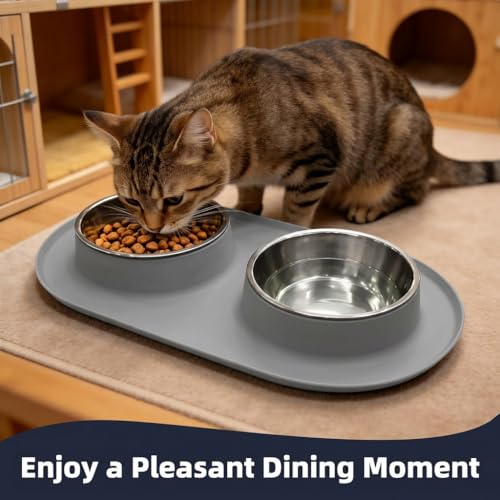 Double Stainless Steel Cat Food Bowls with Non-Slip Silicone Mat, Double Pet Feeder for Food & Water, Spill Proof Cat Dish Set for Small Medium Dogs & Cats, 1.5 Cups Each Bowl, Grey Mediun - color: Grey