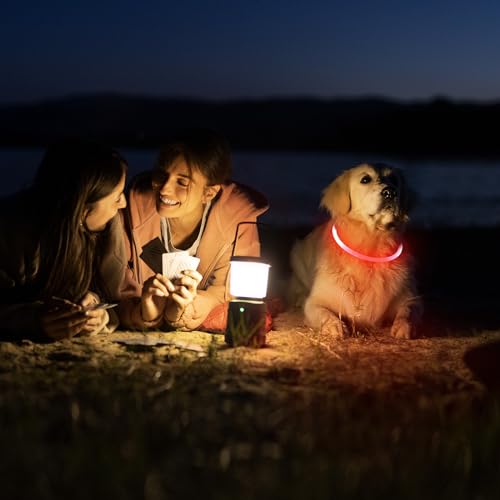 HIGO LED Dog Collar Light - USB Rechargeable Light Up Dog Collars, DIY Flash LED Dog Necklace for Your Dogs Walking at Night (Red) - color: Red