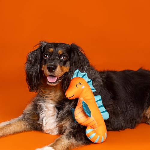 Fringe Studio Floating Dog Toy Living in A Bubble, Pet Shop Collection (640026) - color: Living In A Bubble