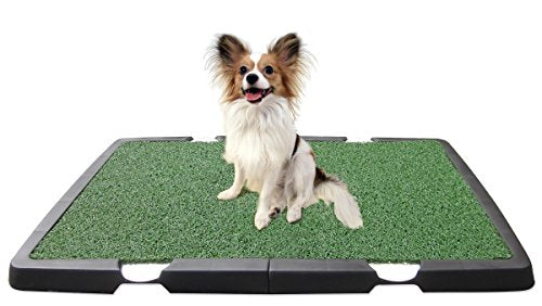 Spotty Indoor Potty Pad, House Training Pet Puppy Dog Artificial Grass Turf Pee Mat