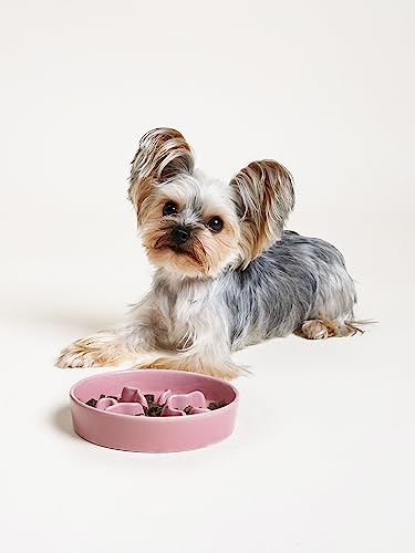 LE TAUCI PET Ceramic Slow Feeder Dog Bowls Small Breed, 0.5 Cups Dog Food Dish for Fast Eaters, Puzzle Bowl for Small Dogs and Cats, 5.5 Inch-Pink - color: Pink