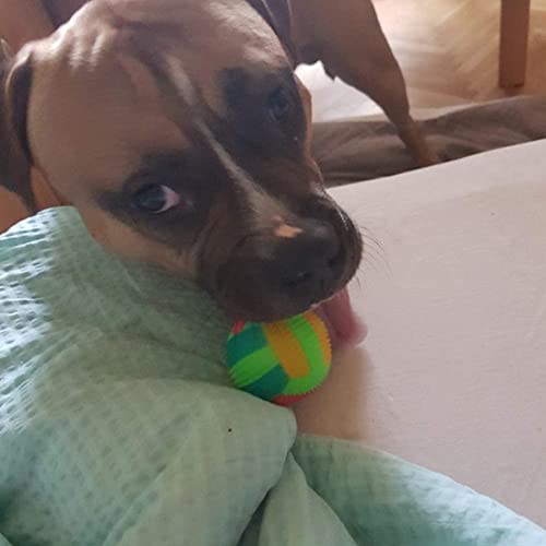 Flashing Football Shape LED Light Sound Bouncy Ball Funny Kids Pet Dog Toy Interactive Dog Toy, Xmas Gifts