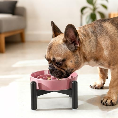 Elevated Slow Feeder Dog Bowl, 0.8 Cups Ceramic Raised Slow Feeder with Stainless Stand, 6.3 Inch Wide Lifted Dog Bowl for Small Breeds to Control Eating Speed, Pink - color: Pink, size: Small with Stand