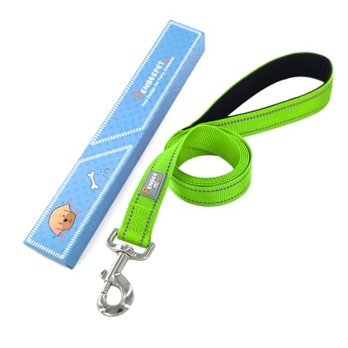 Dog Leash 6 FT Padded Handle Nylon Reflective Dogs Leashes for Small Dogs Puppy Green - color: Refl Green, size: Small : 5/8" x 6 FT