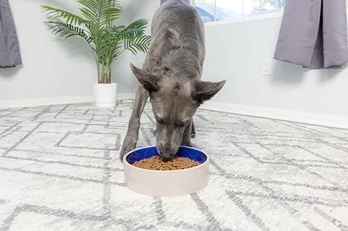 SPOT Standard Crock Dish - Heavy Duty, Non-Slip, Round Ceramic Food/Water Bowl for Pets, Ideal for Medium to Large Dogs or Multiple Animals, Dishwasher Safe - 9.5 in, 8 Cups, (64 Oz)(Pack of 6) - size: 9.5" (Pack of 6)