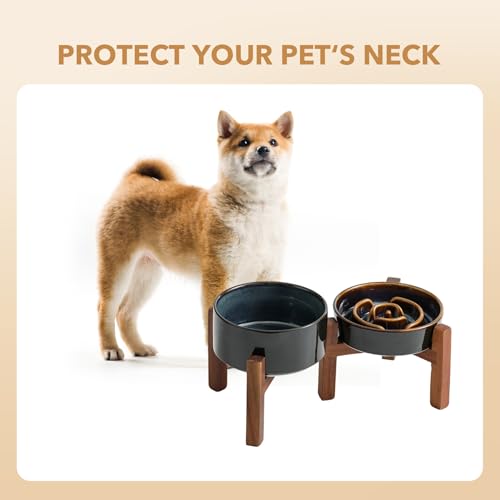 Havniva 0.9 Cup Elevated Slow Feeder Dog Bowls, 6.1” Dog Slow Feeding Bowls + 6.1” Ceramic Dog Water Bowls Set with Acacia Wood Stand, Dog Food Bowls Puzzle Feeder for Small Dogs Non-Slip Anti-choking - color: 2 x Starry Sky + Stand - A, size: S- 6.1inch