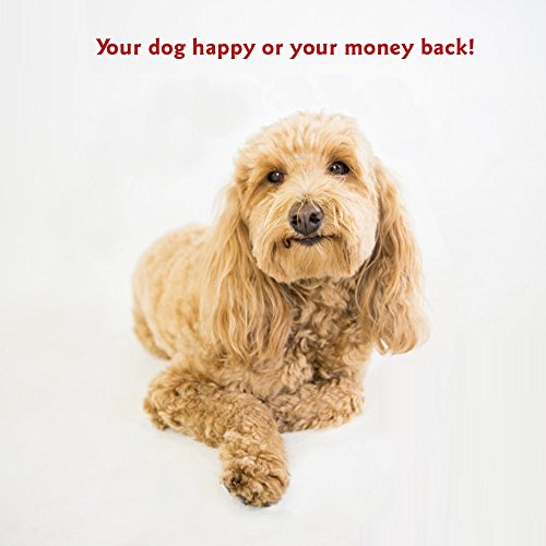 Majestic Pet 32 Inch Links Sherpa Calming Dog Bed Washable – Cozy Soft Round Dog Bed with Spine for Head Support - Fluffy Donut Dog Bed 32x23x7 (inch) – Round Pet Bed Medium - RED - color: Red, style: 32 in.