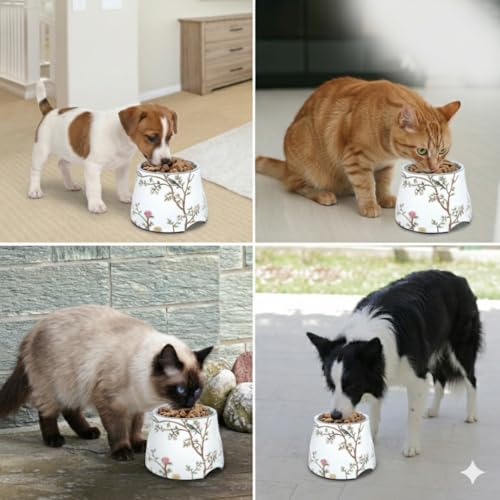 Ceramic Dog Bowl 5 inch Height for Cats and (10-25lbs) Small and Toy size Dogs includes Food-Grade 304 Stainless Steel Bowls Non-Slip 2 Cups(540ml) Bowl Feeder in an Artful and Design (White) - color: White, size: Small