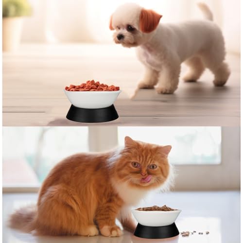 French Bulldog Food Bowl- Slanted Tilted Pug Food Water Bowl,Cat Bowl- Feeder for Frenchie/Shih Tzu/Flat Faced Small Dogs/Puppies/Cats (White(Ceramic), 2 Cup) - color: White Bowl(Ceramic), size: 2 Cup