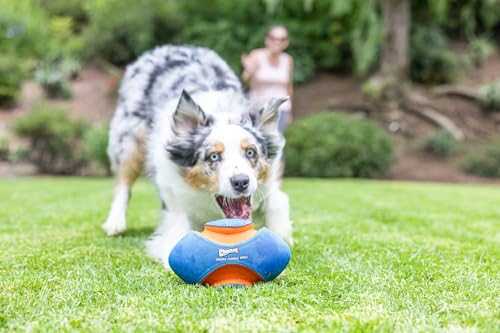 Chuckit! Giggle Fumble Fetch Ball Dog Toy 7.9", Makes Funny Giggle Sounds | Interactive, no batteries required, encourages active play for all breeds and sizes, keeps curious pups engaged every day - style: Giggle Fumble