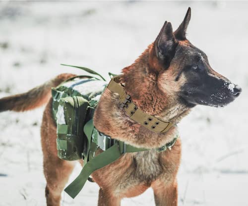 Tactical Dog Collar with Handle - Military Adjustable Dog Training Collar Soft Nylon and Heavy Duty Metal Buckle for Medium Large Dogs - with Patch (Brown with Patch, Medium) - color: Brown with Patch, size: Medium