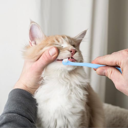 Mozeat Lens 8 Pack Small Dog Toothbrush Cat Toothbrush Pet Toothbrush Mini Head Soft Dog Cat Tooth Brush for Sensitive Puppy, Kitten, Cats & Small Breed Dogs, Portable Travel Friendly and Easy to Use