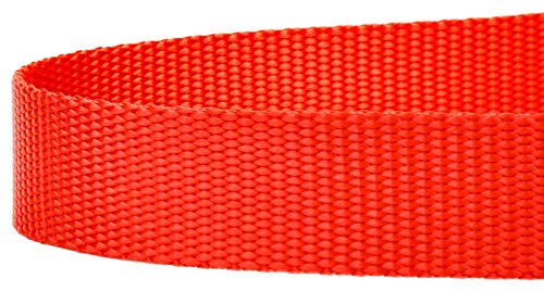 Country Brook Petz - Vibrant 17 Color Selection - Heavyduty Doublehandle Nylon Leash (6 Foot, 3/4 Inch Wide, Neon Orange) - color: Neon Orange