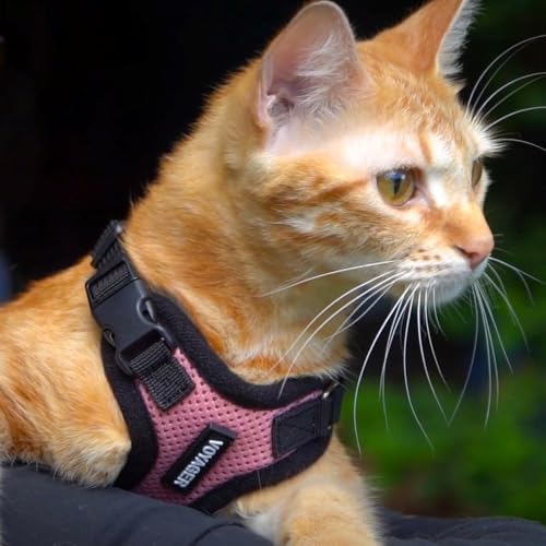 Best Pet Supplies - All Weather Mesh / Plush, Reflective, No Pull Harness for Small, Medium Dogs, Cats - Secure with Hook & Loop Fastener, Buckle, Double D-Rings - Beige Plush, XS - color: Beige Plush, size: XS (Chest: 13 - 14.5")