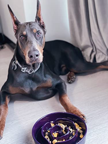 LE TAUCI Slow Feeder Dog Bowls Ceramic, 3 Cups Slow Feeding Dog Bowl Medium Large Breed, Pet Bowl for Fast Eaters, Puzzle Pet Dishes, Maze Purple - color: Maze Purple, size: L-3 Cups