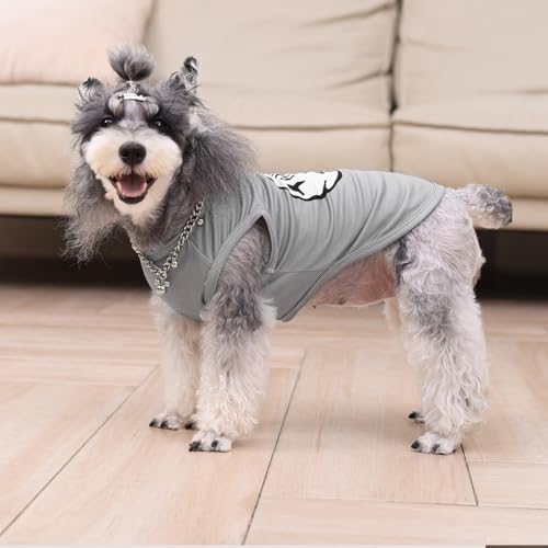 CuteBone Dog Shirts 2-Pack Soft Pet Clothes Breathable Summer Vest for Small Puppy and Stretchy Cat Apparel - color: Boy thing 1 thing 2, size: X-Small