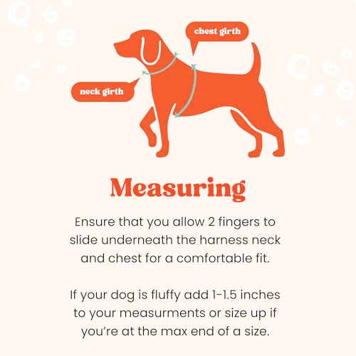 Step in Extra Small Dog Harness and Puppy Harness – No Pull No Choke Mesh Vest with Front & Back Clips for XS Small Breed Dogs (Sierra Mountains, XS) - color: Sierra Mountains, size: XS