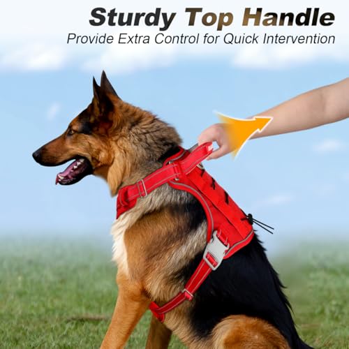 BARKBAY Service Dog Vest Tactical Dog Harness Medium Large Sized Dog No Pull Adjustable Dog Harness Reflective K9 Working Training Easy Control Military Molle System(Red,L) - color: Red, size: Large