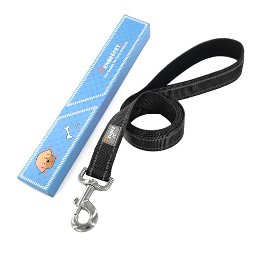 Dog Leash 6 FT Padded Handle Nylon Reflective Dogs Leashes for Small Dogs Black - color: Refl Black, size: Small : 5/8" x 6 FT