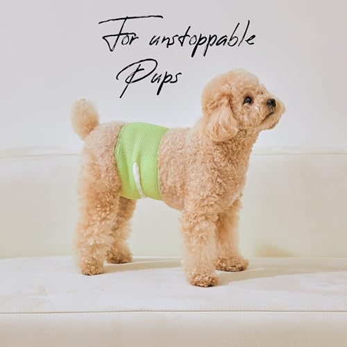 WICKEDPUP Male Dog Belly Band Kit, 50 Diaper Pads & 1 Reusable Male Wrap (Size 1 (14"-17.5" Waist)) - size: Size 1 (14"-17.5" Waist)
