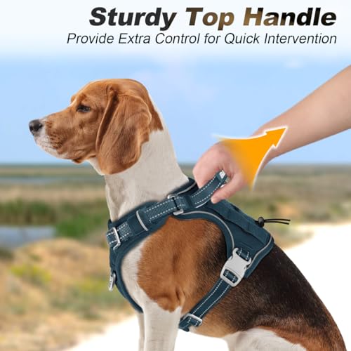 BARKBAY Service Dog Vest Tactical Dog Harness Medium Large Sized Dog No Pull Adjustable Dog Harness Reflective K9 Working Training Easy Control Military Molle System(Legion Blue,M) - color: Legion Blue, size: Medium