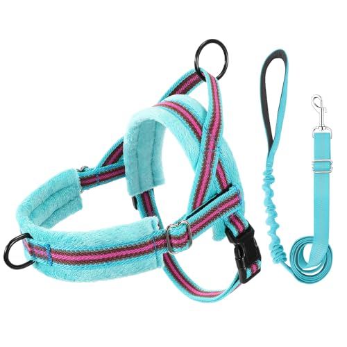 Lukovee No Pull Dog Harness and Leash Set, Soft Padded Small Dog Harness, Neck & Chest Adjustable Reflective Vest Puppy Harness with 4ft Lightweight Anti-Twist Dog Leash for Small Dogs (01-LBL) - color: Light Blue - with Stripe, size: S ( Chest 17.5'' ~ 2