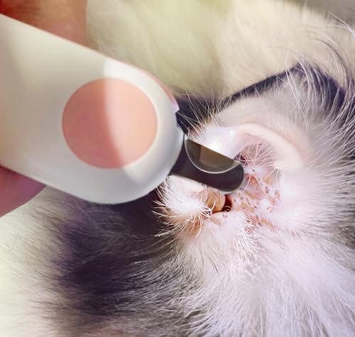 Small Animals Nail Clippers with LED Lights to Avoid Excessive Cutting and Razor Sharp Blades - Professional Claw Trimmer for Tiny Dog Cat Kitten Bunny Rabbit Bird Guinea Pigs Ferret Hamsters (Blue) - color: Blue