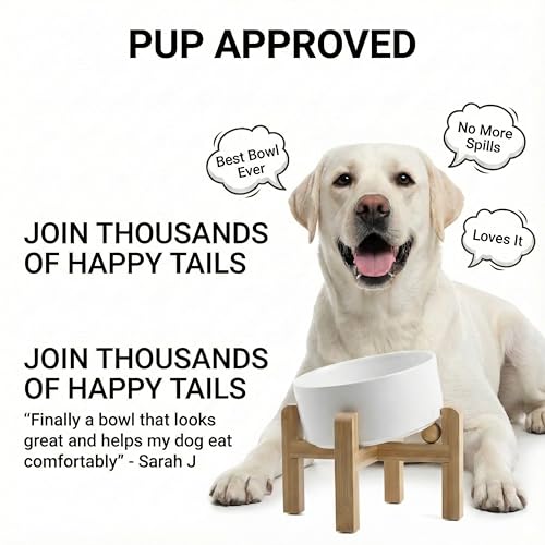 hjn Elevated Ceramic Dog Bowl 15°Slanted Raised Dog Bowl with Bamboo Stand for Small Medium Dogs and Cats, Pet Feeder -7.6-Cup (1800ml)-White - color: White, size: 7.6Cup