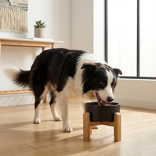 hjn Elevated Ceramic Dog Bowl with Bamboo Stand, Raised Pet Feeding Station for Small Medium Dogs Cats, Modern Design with Anti-Slip Base (Black, 7.6Cup) - color: Black, size: 7.6Cup