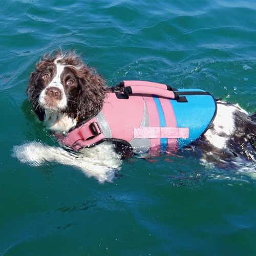 Kuoser Dog Life Jacket with Reflective Strips, High Visibility Dogs Swim Vest with Rescue Handle, Adjustable Dog Life Vest for Swimming, Boating, Pool & Beach, Doggy Lifejacket Small Medium Large Dogs - color: Pink & Aqua Blue, size: Medium (Chest Girth:2