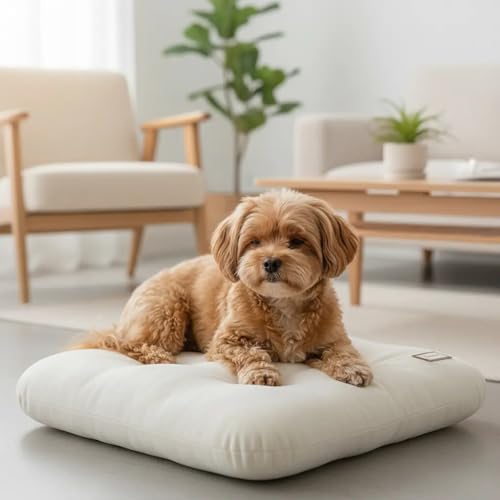 Washable Dog Bed Ultra Soft Plush Dog Crate Mat, Dog Bed for Crate, 3.2" Thick Dog Bed Mat, Kennel Pad for Small and Medium Dogs, Beige (Beige, 24" L x 18" W x 3.2" Th) - size: 24"L x 18"W x 3.2"Th