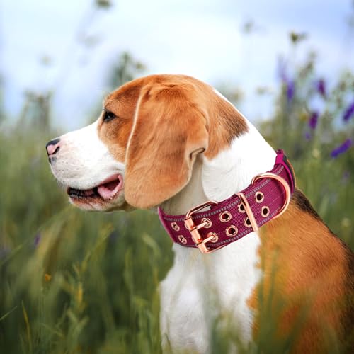Heavy Duty Tactical Dog Collar with Neoprene Padded and Metal Buckle, Reflective Nylon for Medium to Large Dogs(Wine Red, Medium) - color: Wine Red, size: Medium (Pack of 1)