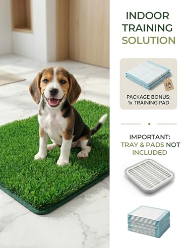 1.2'' Thick Woven Fake Grass Mat for Dog, Glue-Free Artificial Turf Potty Training Pad with Fast Drainage, Machine Washable Pet Pee Pad, Indoor Outdoor Non-Toxic Rug (Medium) - size: 20'' x 30''(Medium)