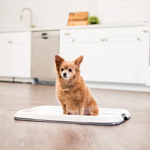 IRIS USA Pee Pad Holder for Dogs and Puppies, Potty Training Tray with Secured Latches, Non-Skid Feet, Leak Protection, Easy Clean Surface, Fits 17"x 23" Puppy Pads Size, Dark Gray - color: Dark Gray, size: 17" x 23"