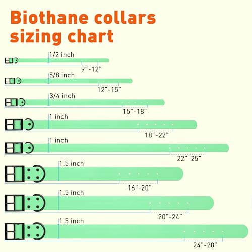 Dogline Biothane Waterproof Dog Collar Strong Coated Nylon Webbing with Black Hardware Odor- Proof for Easy Care Easy to Clean High Performance Fits Small Medium or Large Dogs, Sea Foam Green