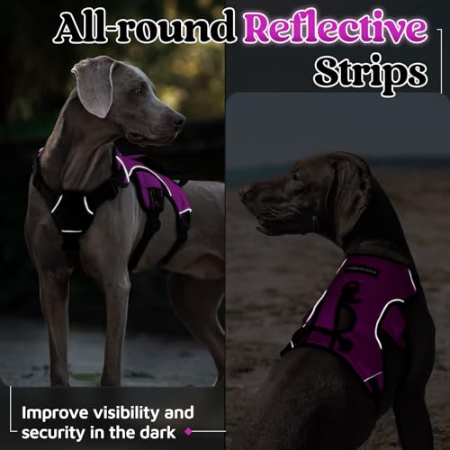 rabbitgoo Escape Proof Dog Harness, Soft Padded Full Body Pet Harness, Reflective Adjustable No Pull Vest with Lift Handle and Leash Clip for Large Dogs Walking Hiking Training, M, Purple - color: Purple, size: Medium (Pack of 1)