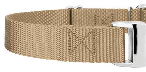 Country Brook Petz - Martingale Dog Collar - Heavy Duty Nylon Adjustable Martingale Dog Collar with Premium Buckle for Small Medium Large Breeds (5/8 Inch, Extra Small, Copper Gold) - color: Copper Gold, size: Extra Small (Pack of 1)