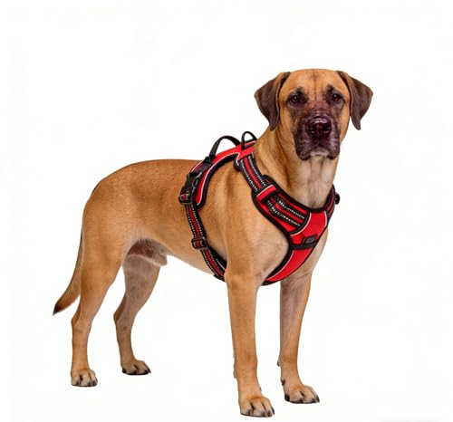 Red No-Pull Dog Harness with 2 Leash Clips,Soft Padded Vest for Medium Dog, Adjustable Reflective Dog Vest Easy to Put on and Take Off, (Neck: 14"~20", Chest: 21"~27", Red M) - color: Red, size: Medium